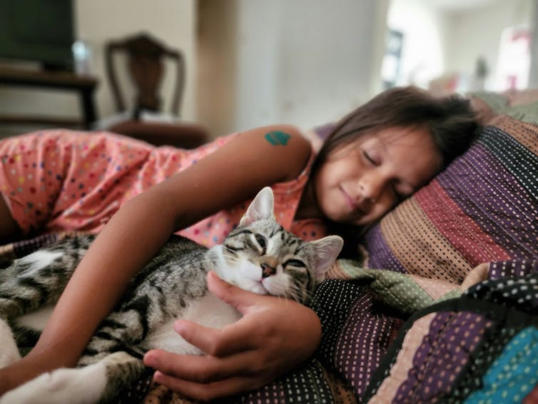 Child asleep on sofa cuddling tabby cat