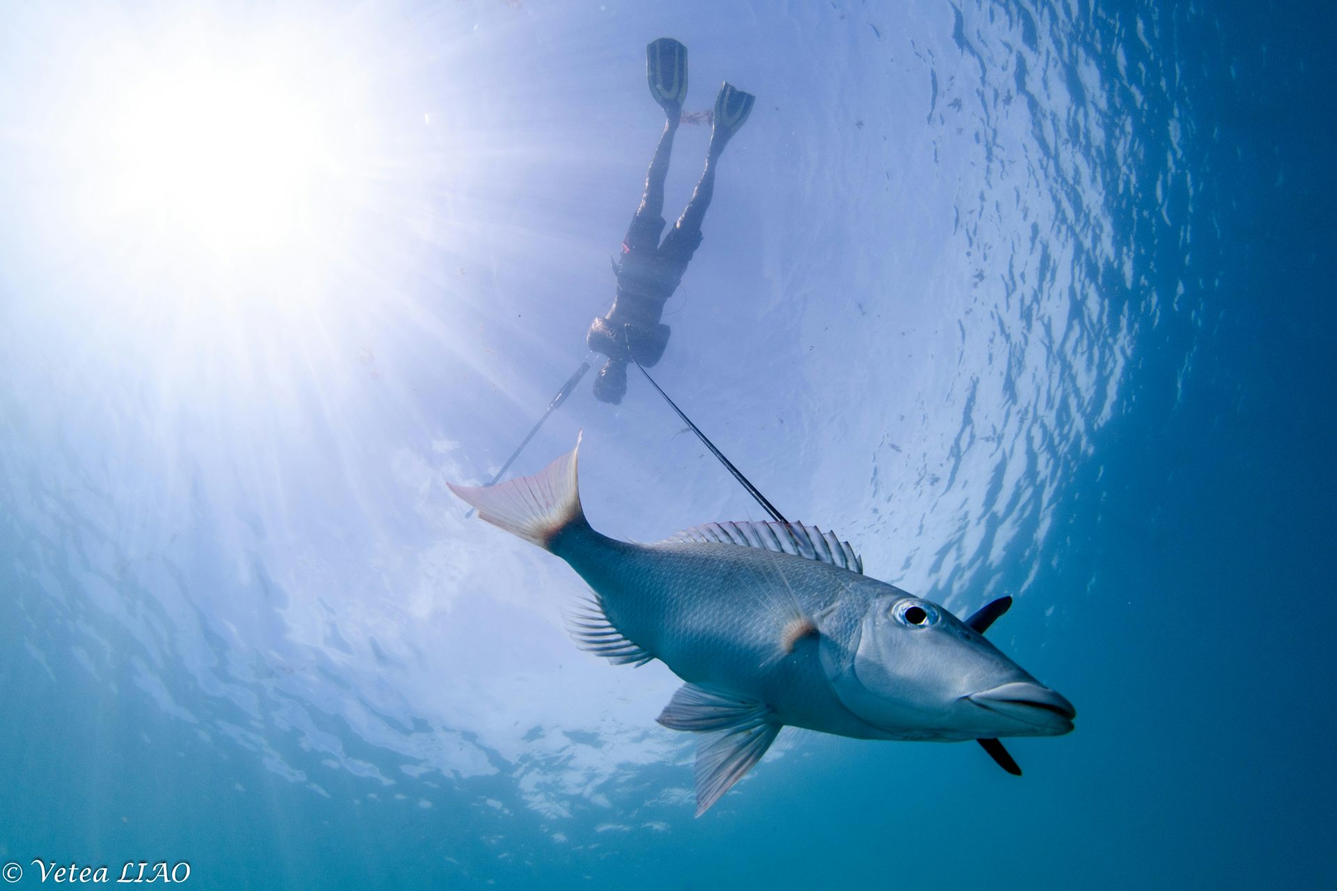 En Polynésie, on croise savoirs locaux et science pour mieux gérer les lagons