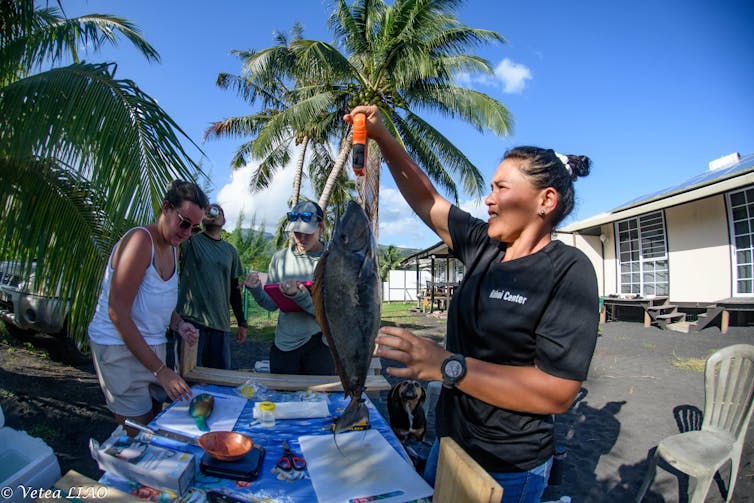 In Polynesia, we mix native wisdom and science to higher organize lagoons 1 file 20251212 56 tda1mf.jpg?ixlib=rb 4.1