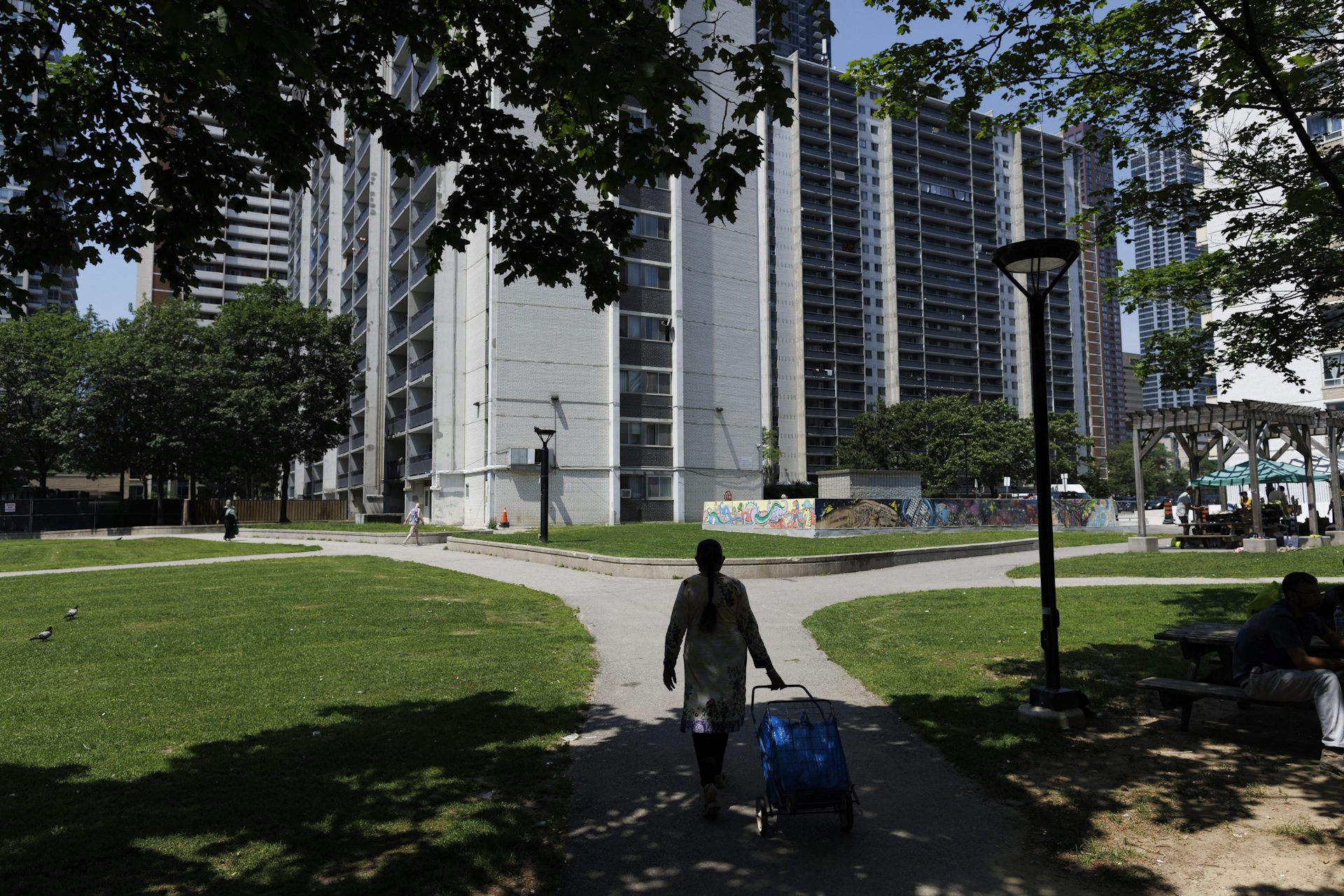 A woman pulling a shopping caddy walking along a path toward a group of high rise residential buildings. 