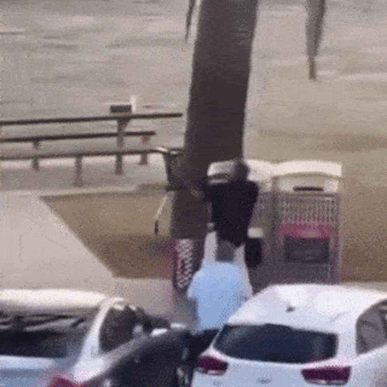 Incredible footage of Ahmed al Ahmed tackling a gunman and taking his weapon.