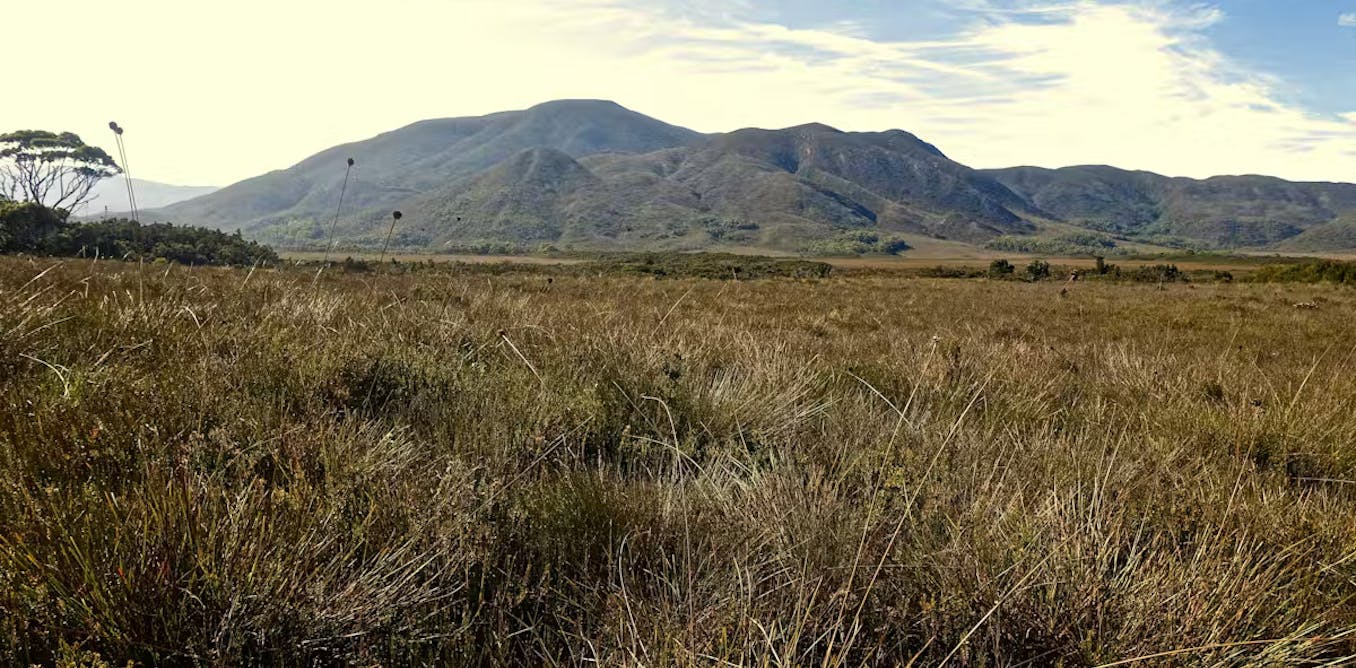 Hidden clues in colonial journals reveal why Tasmania’s remote west keeps burning Hidden clues in colonial journals reveal why Tasmania’s remote west keeps burning