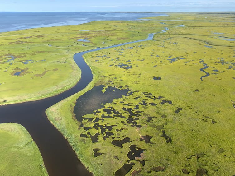 An aerial view of green land dotted with lakes and a river.