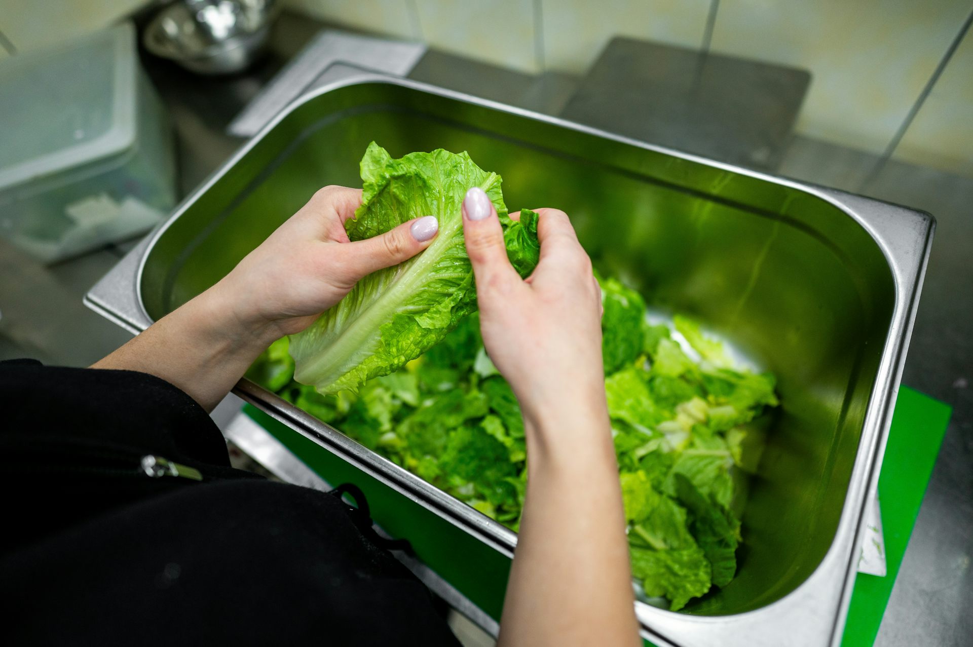 Why does lettuce go bad so quickly? Our new study has the answer