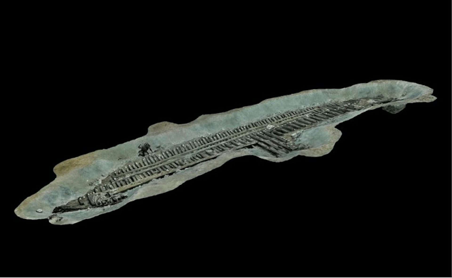 A 3D view of a shipwreck