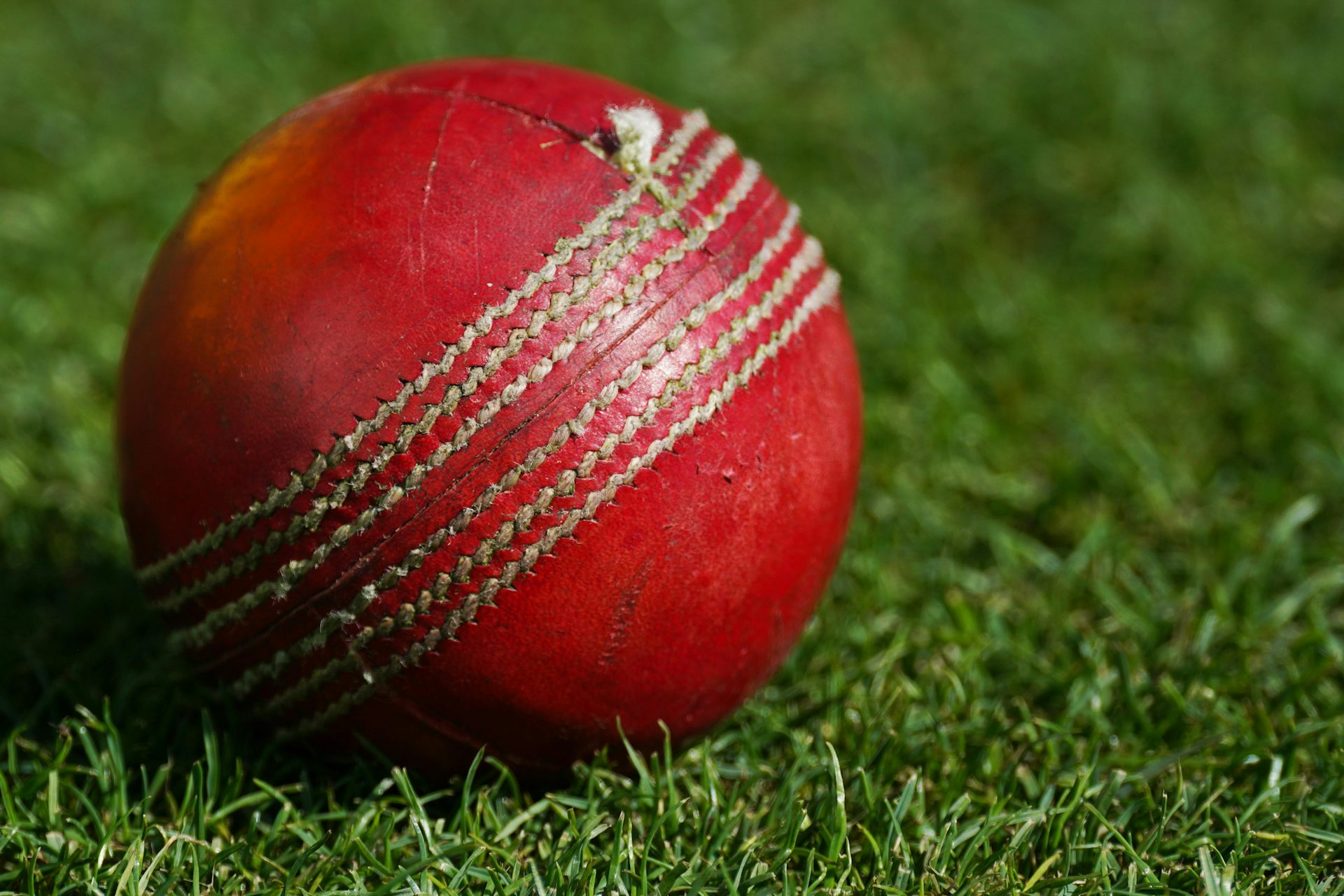 A close-up view of a red cricket ball on grass