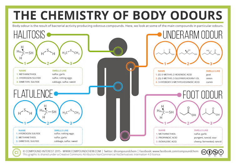 An infographic explaining the chemistry behind flatulence, underarm odour, halitosis and foot odour.
