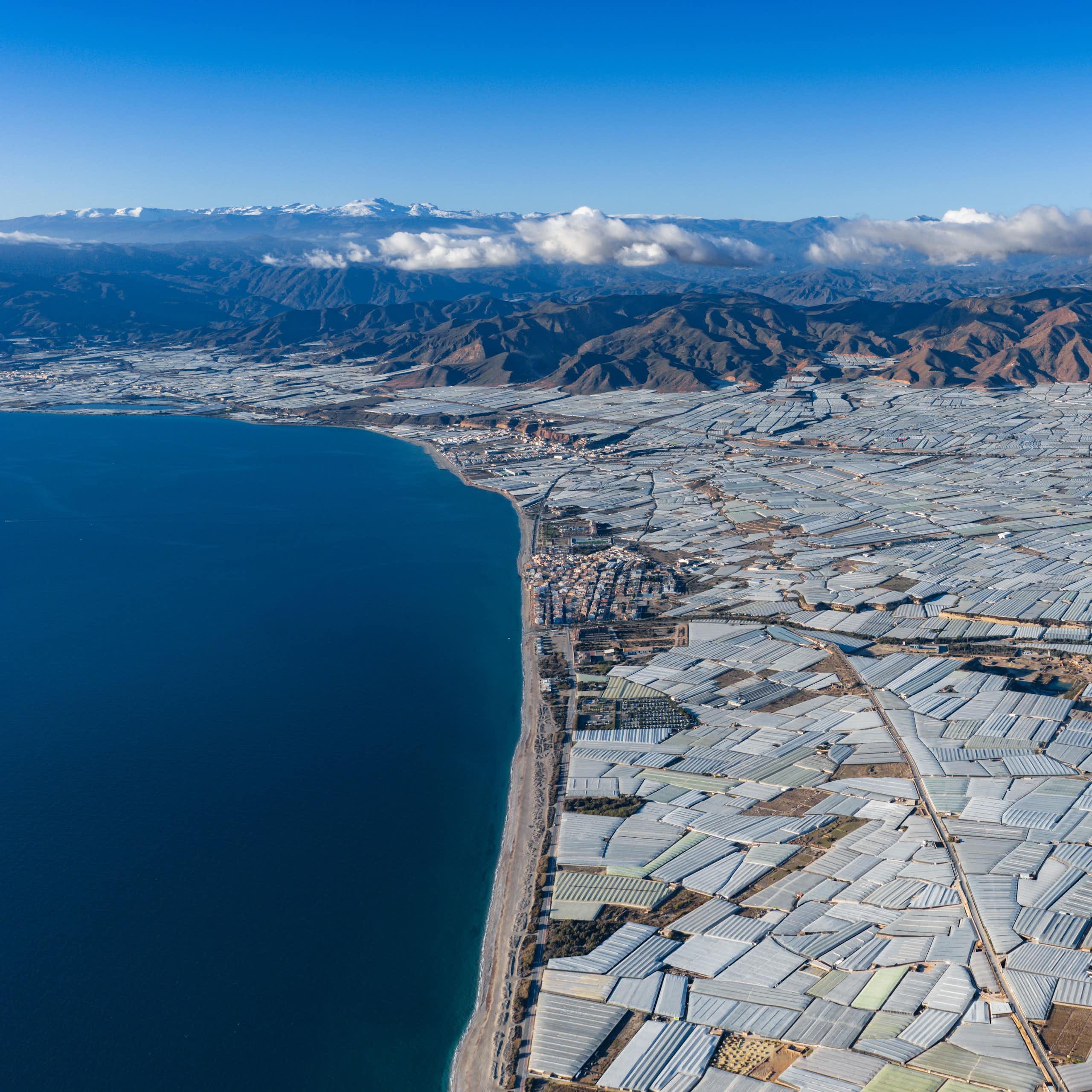 Vista de invernaderos junto a la costa con una cordillera de fondo