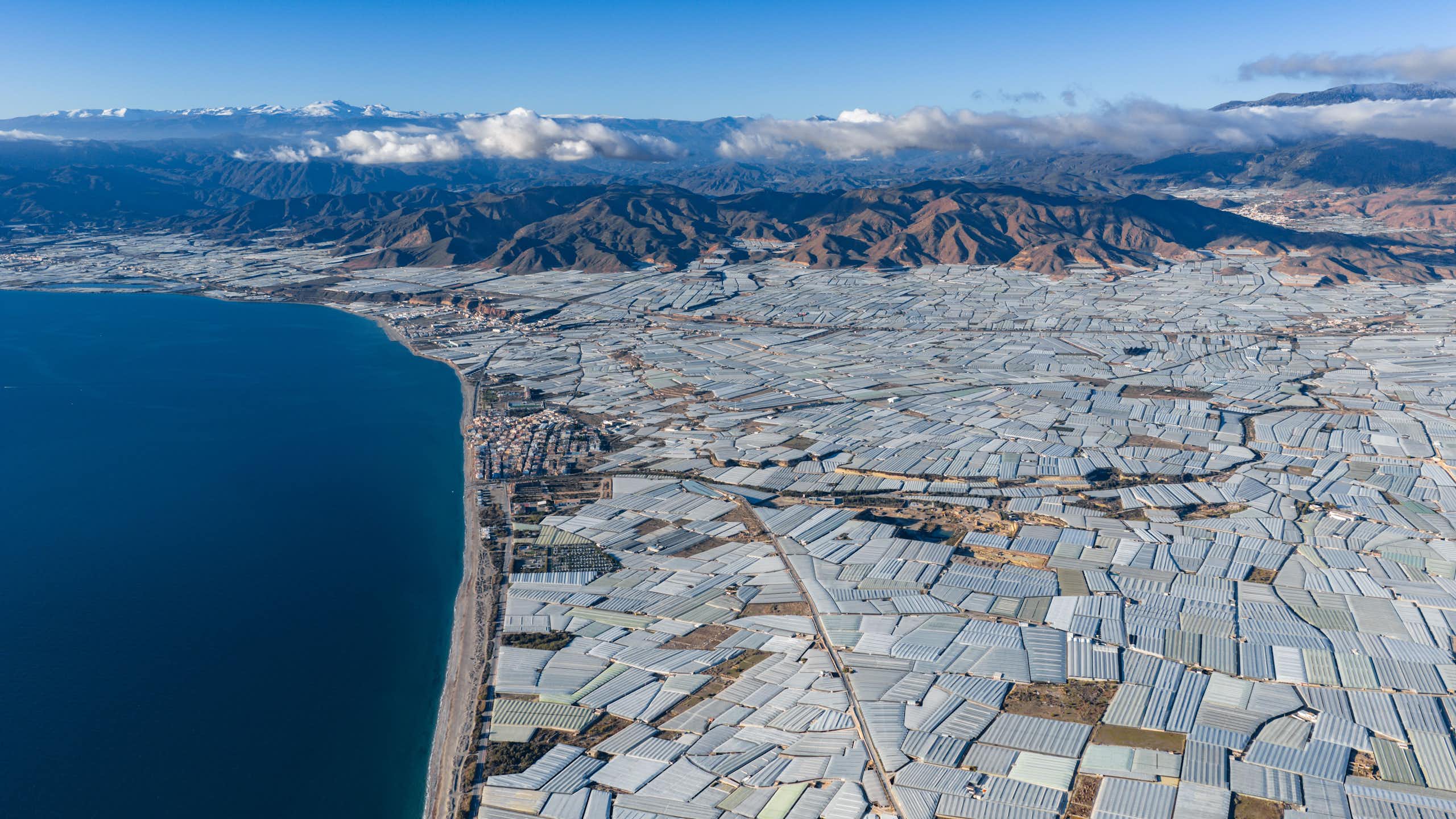 Vista de invernaderos junto a la costa con una cordillera de fondo