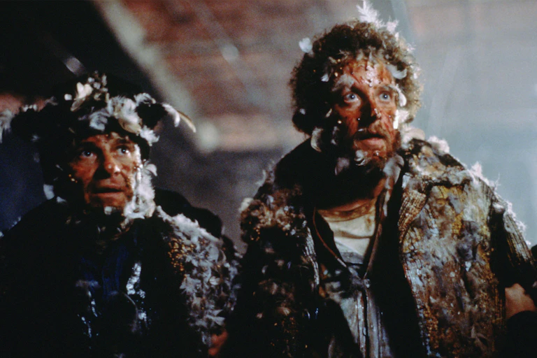Harry and Merv (a.k.a. The Wet Bandits) after being burned and covered in feathers by Kevin