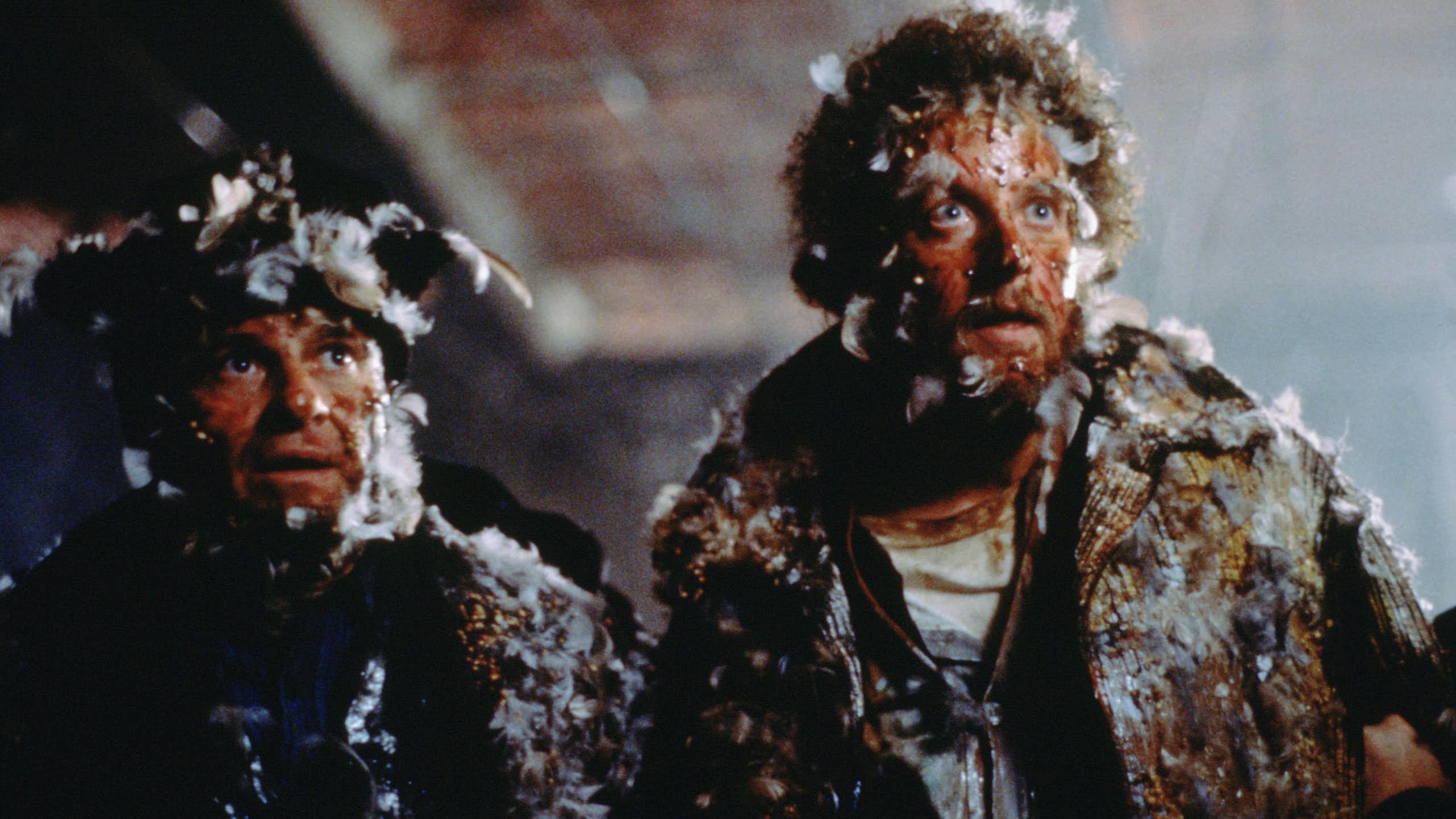 Harry and Merv (a.k.a. The Wet Bandits) after being burned and covered in feathers by Kevin