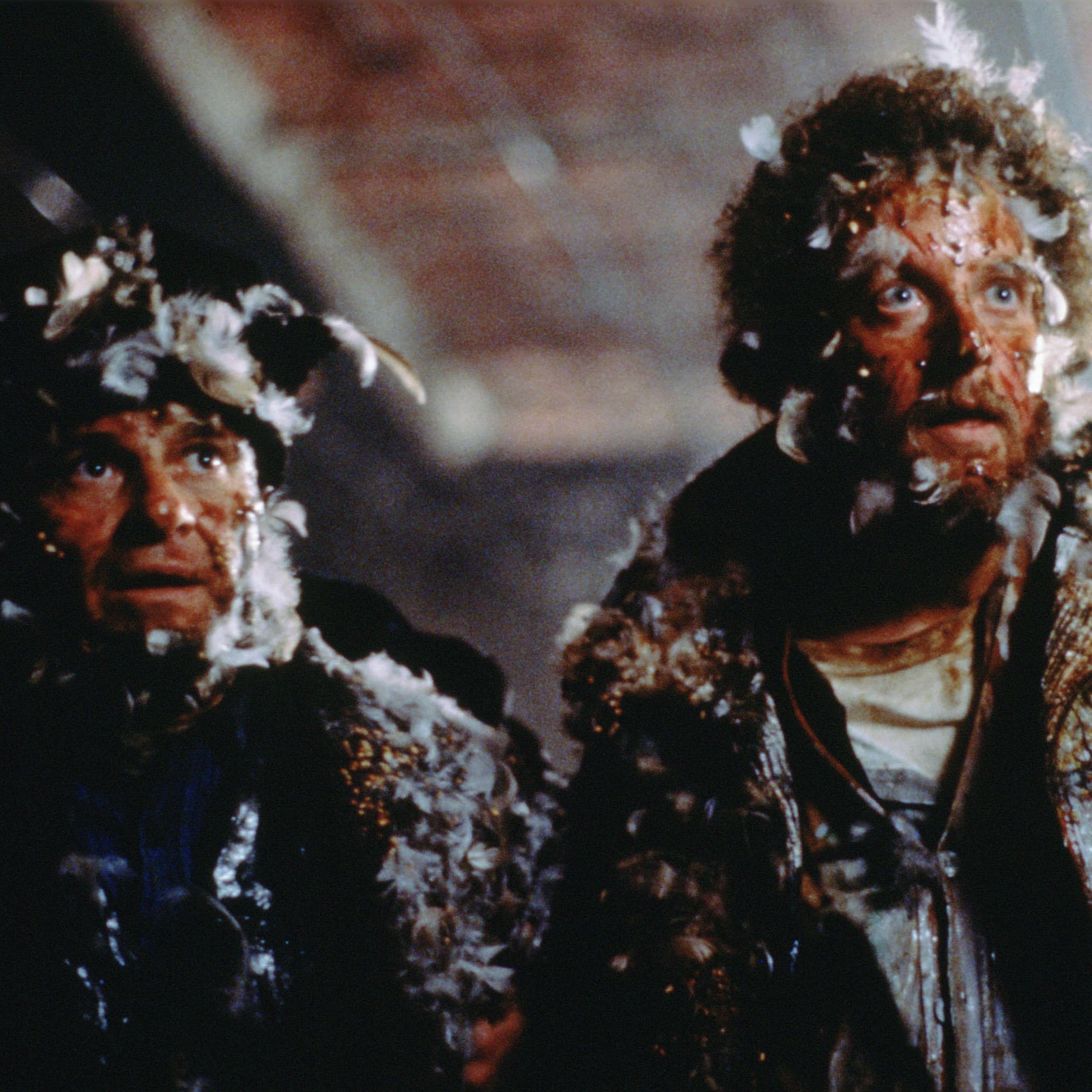 Harry and Merv (a.k.a. The Wet Bandits) after being burned and covered in feathers by Kevin