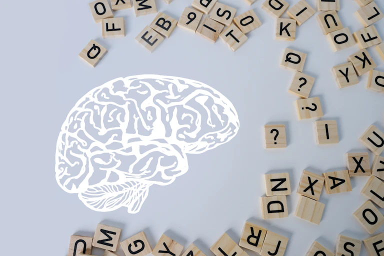 Dessin du cerveau, entouré de lettres.
