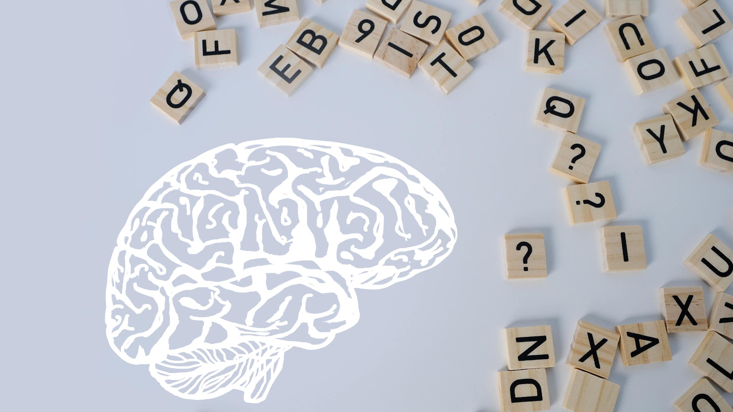 Dessin du cerveau, entouré de lettres.