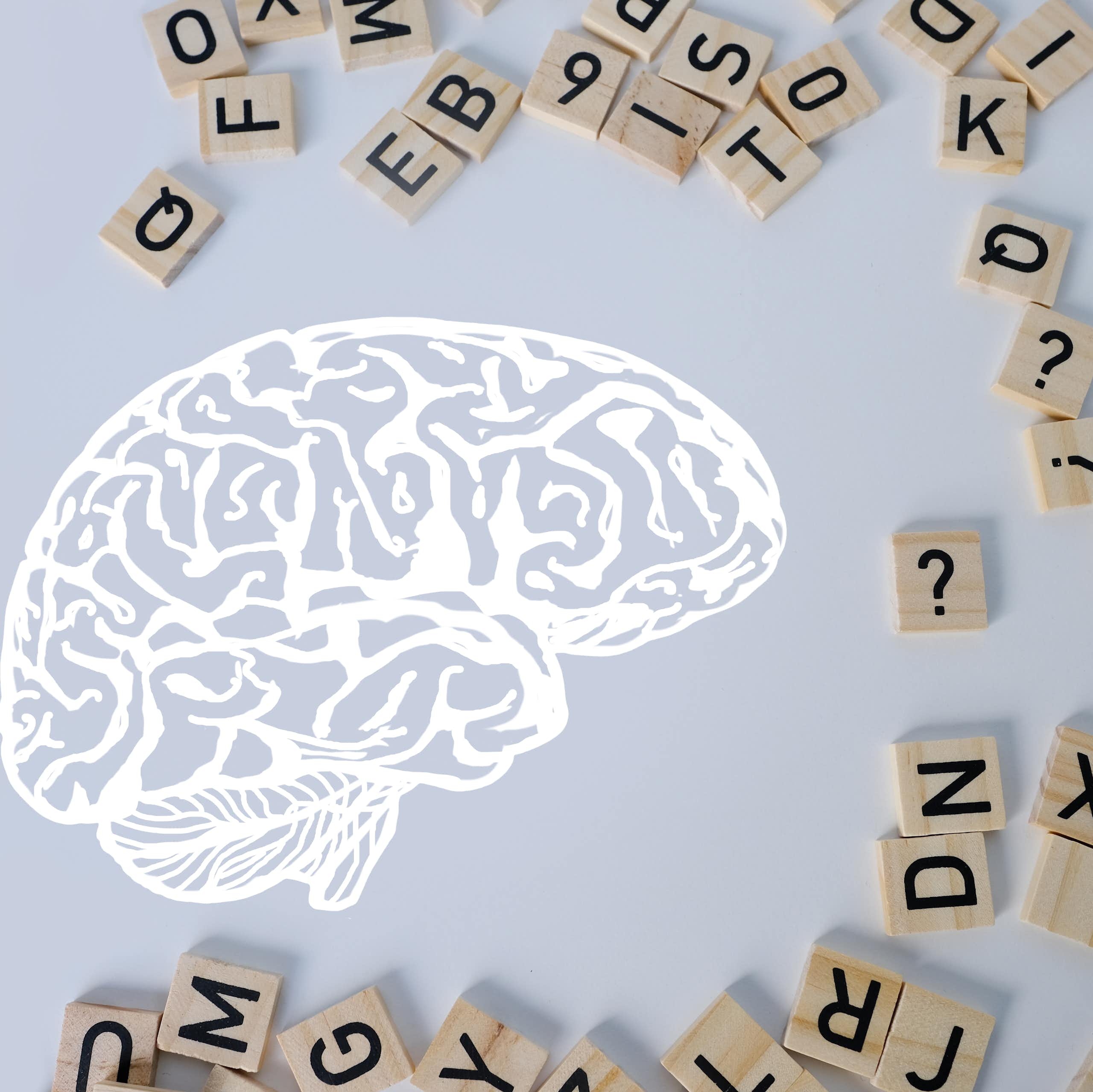 Dessin du cerveau, entouré de lettres.