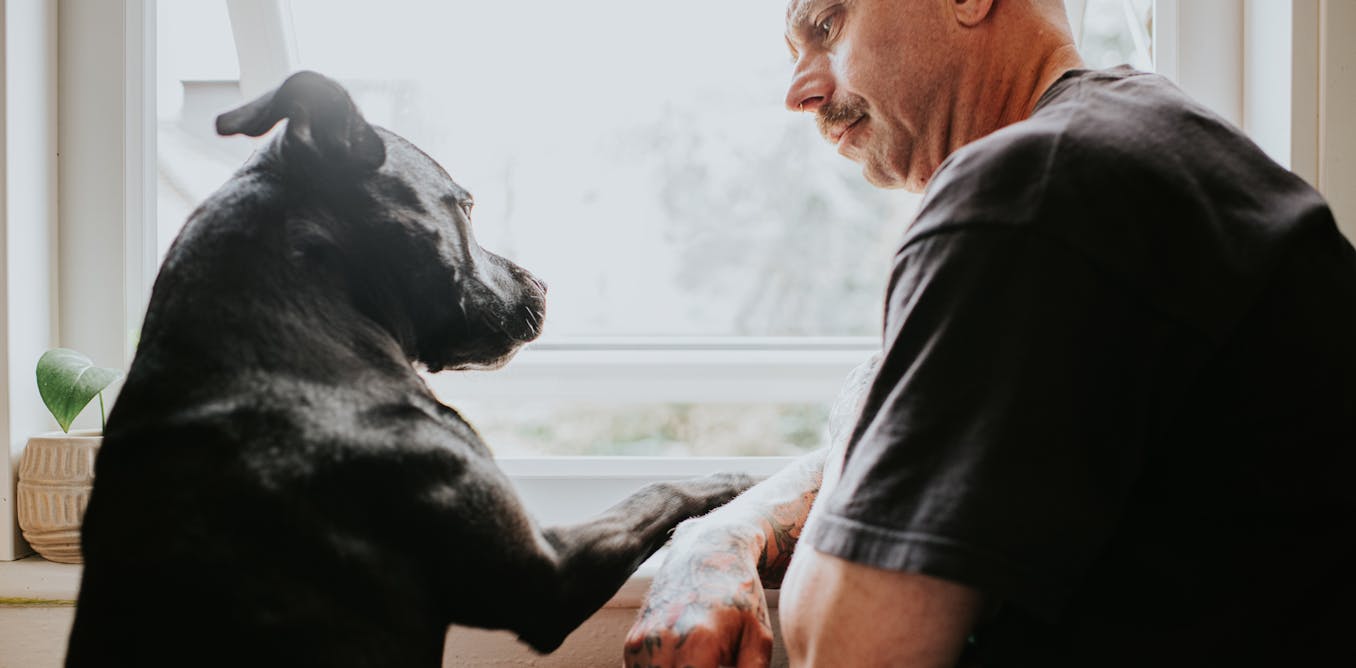 Americans are asking too much of their dogs