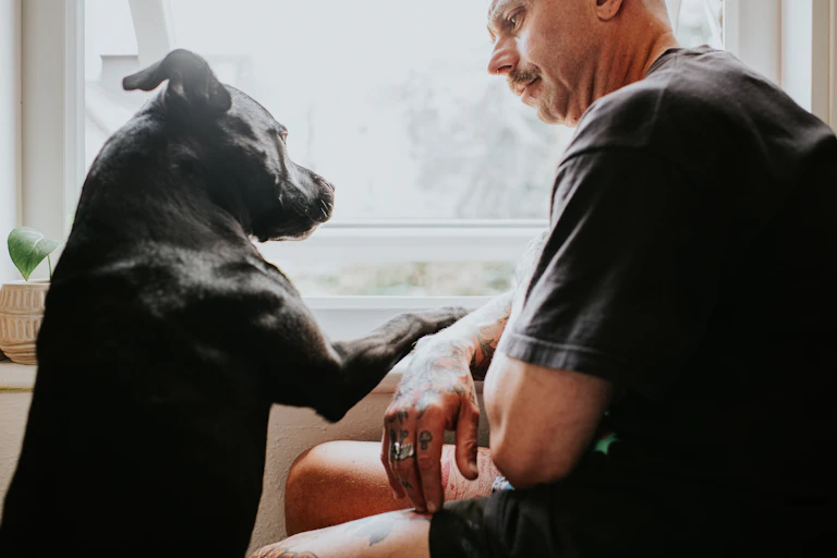 A large black dog and a man in a black T-shirt gaze at each other as they sit in front of a window.