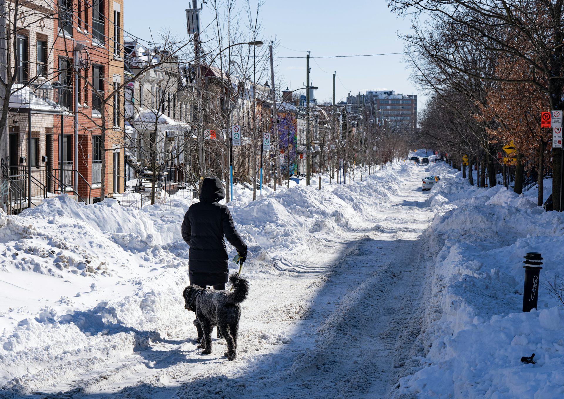 A man walks a dog on a snowy road