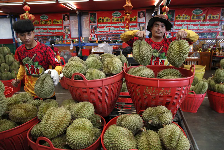Workers arrange durian at a fruit market in Thailand.