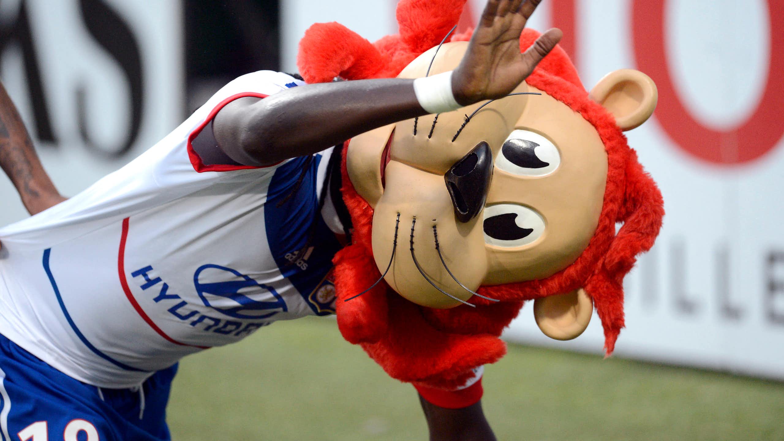 From stadium to the wild: Sports clubs as new champions of biodiversity