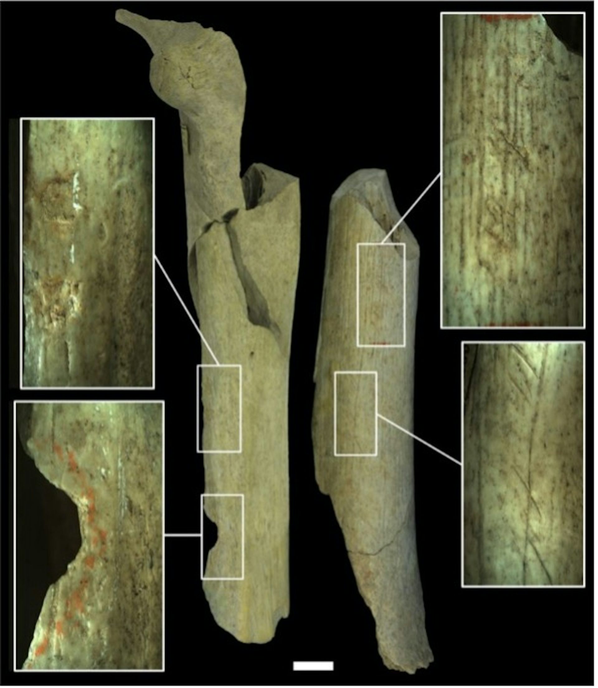 file 20251217 56 nx000m.jpg?ixlib=rb 4.1