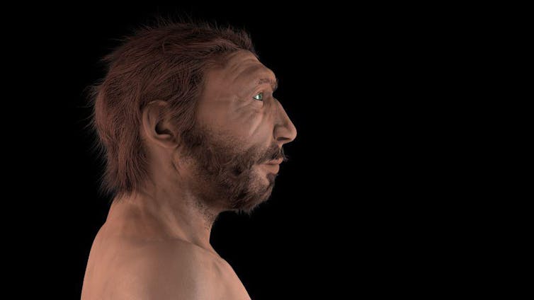 Neanderthals and kids sufferers of cannibalism 45,000 years in the past 2 file 20251217 56 aasjsi.jpg?ixlib=rb 4.1