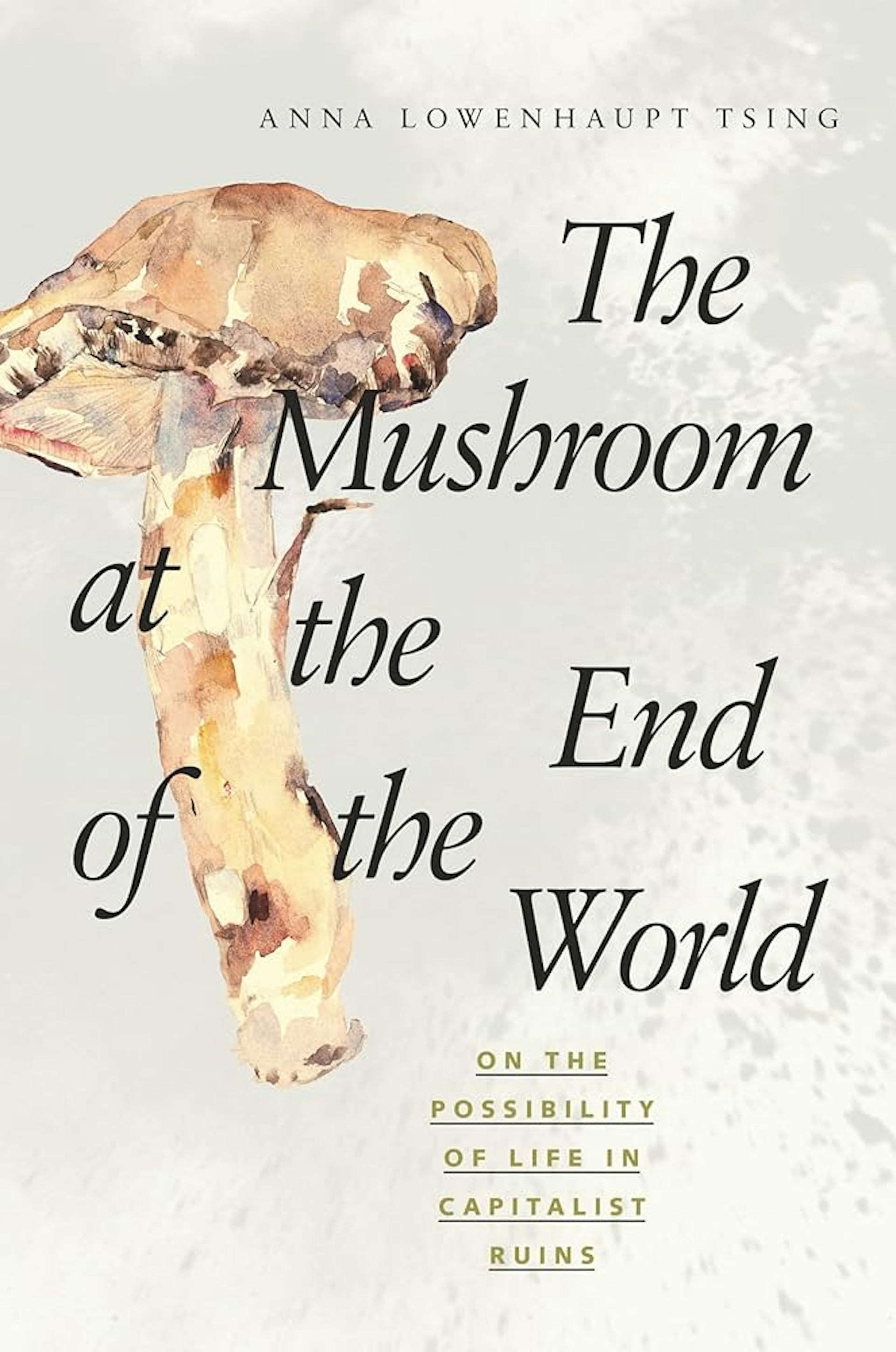 The Mushroom at the End of The World by Anna Tsing book jacket