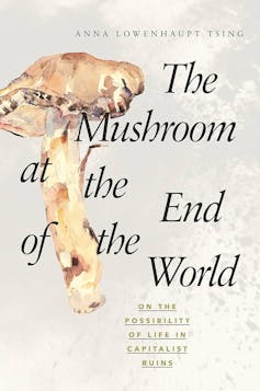 The e-book that modified my thoughts – 12 mavens proportion a perspective-shifting learn 11 The Mushroom at the End of The World by Anna Tsing book jacket