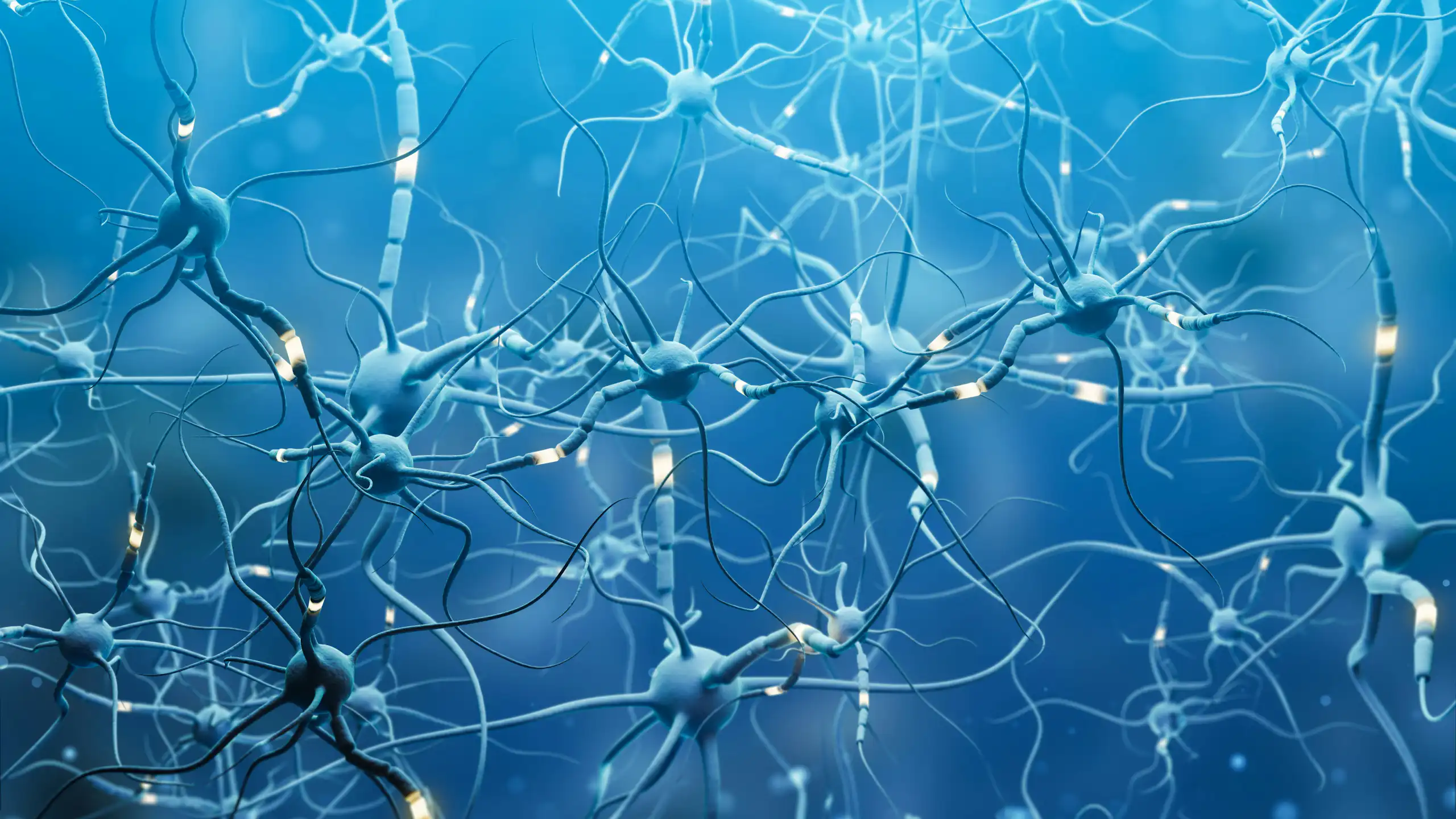 An illustration of a neural network