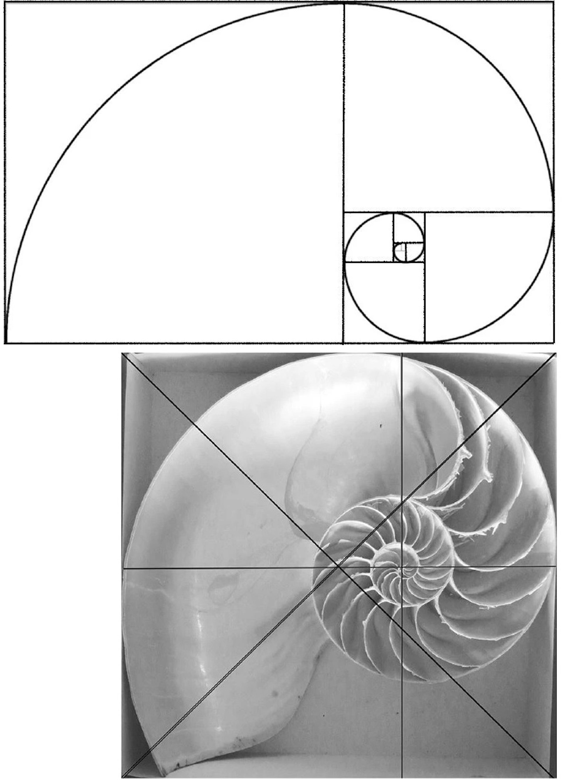 file 20251219 56 ui0sap.jpg?ixlib=rb 4.1