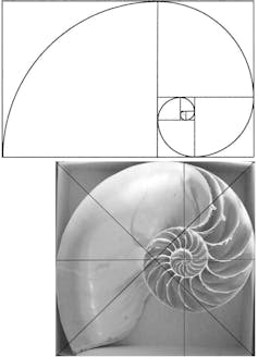 ¿Son las matemáticas un descubrimiento o una creación de la mente humana? 3 file 20251219 56 ui0sap.jpg?ixlib=rb 4.1