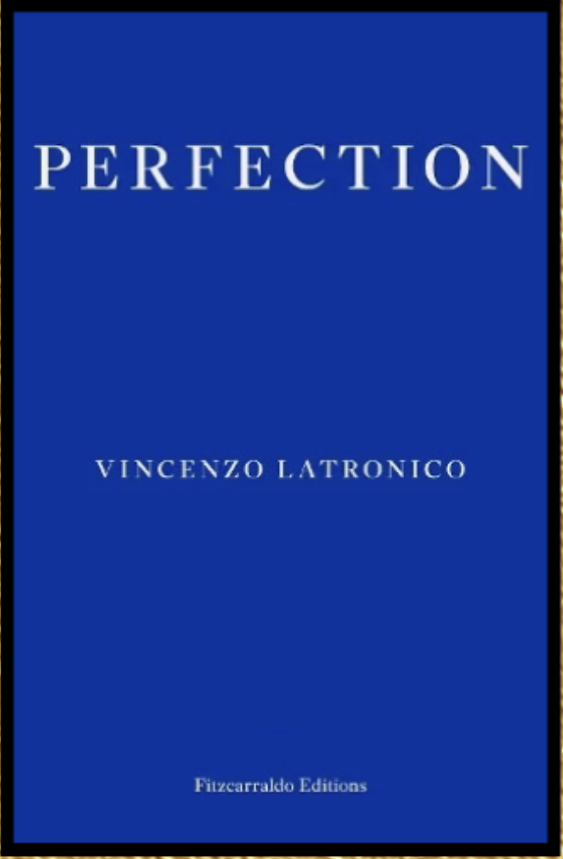 The cover of a book called Perfection by Vincenzo Latronico.