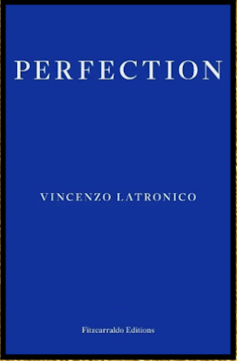 Six of the most efficient novels of 2025 – selected through our literary mavens 1 The cover of a book called Perfection by Vincenzo Latronico.