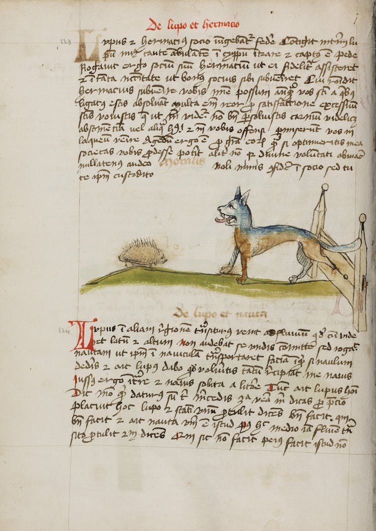 Why hedgehogs was once hated 1 An illustrated text page and an image of a hedgehog and a wolf.