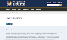 a screenshot of a website that says epstein library
