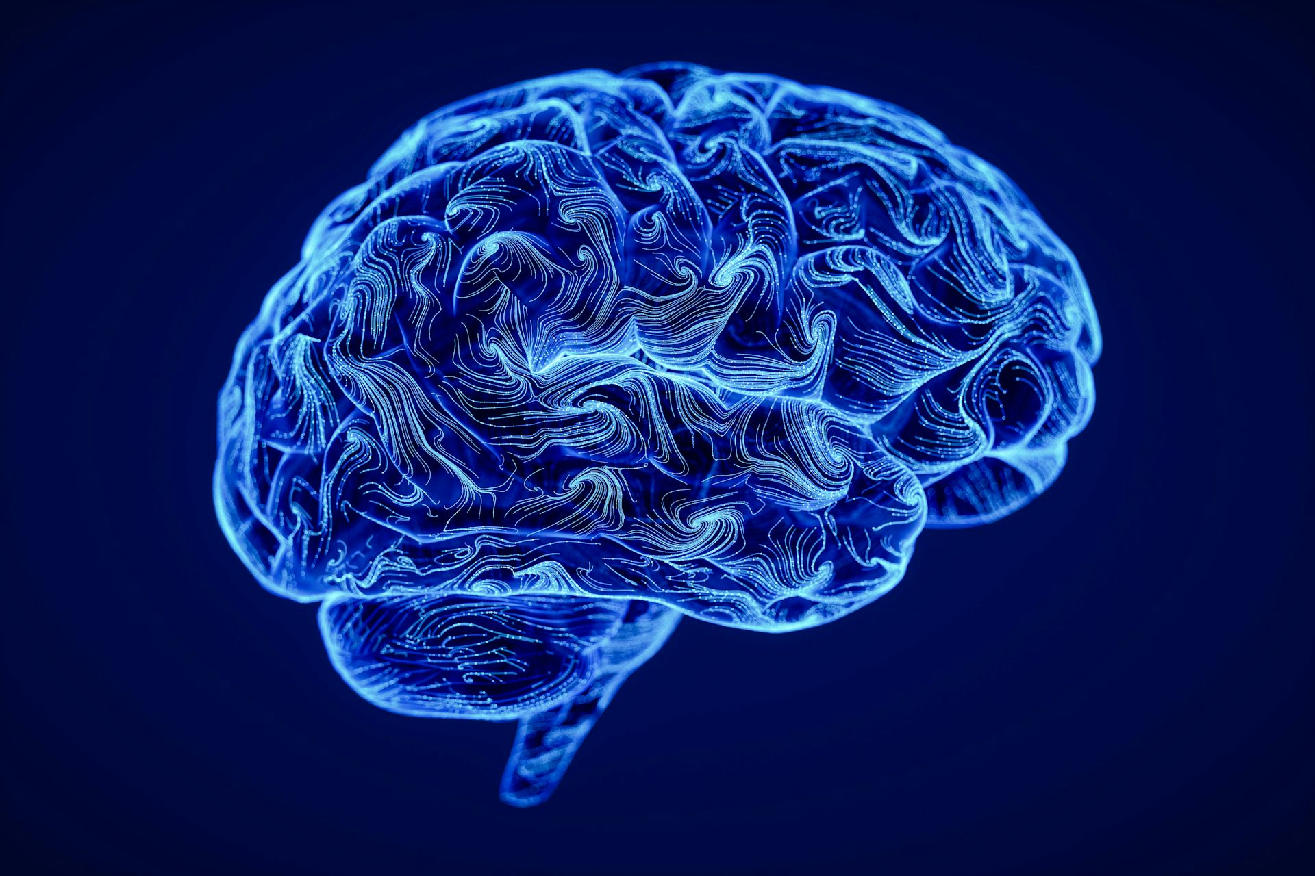 A digital illustration of a brain