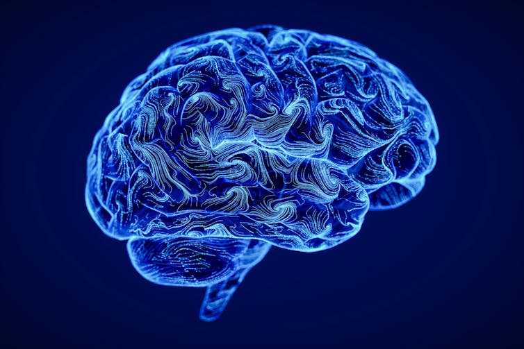 Ilustração digital de um cérebro