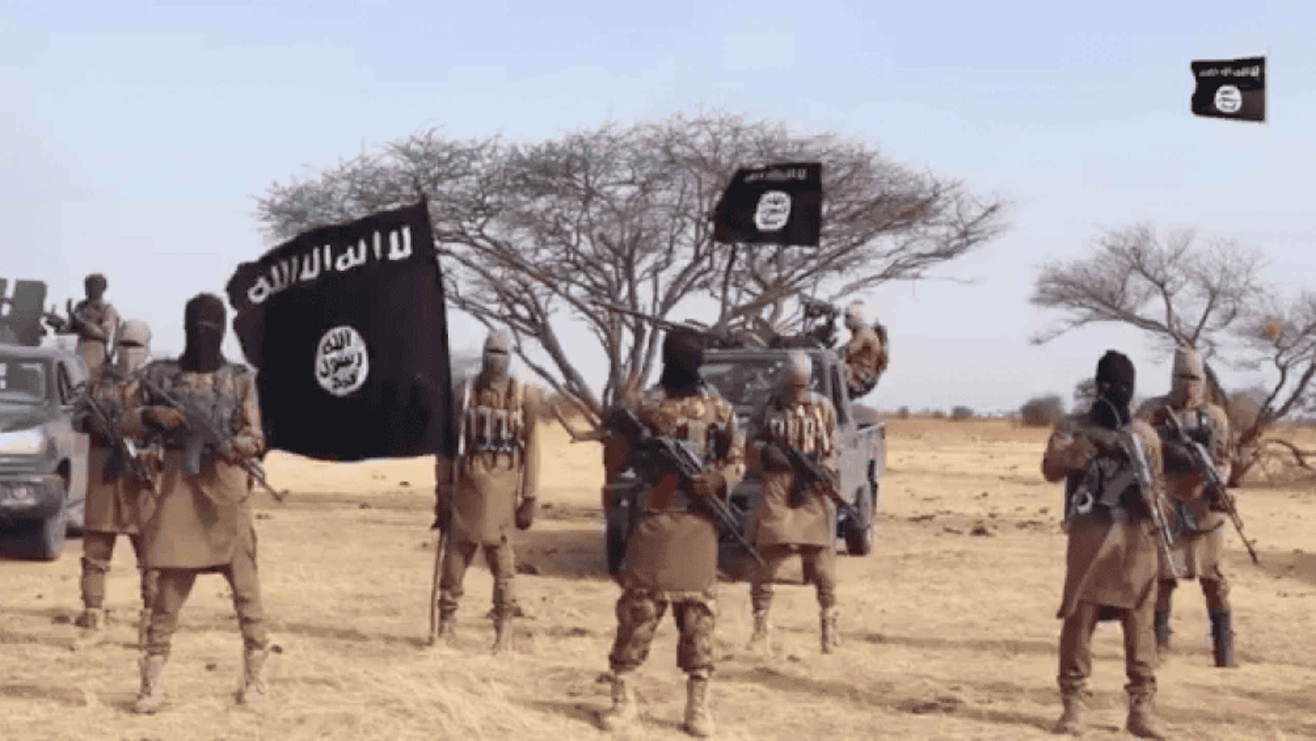 Djihadistes brandissant les drapeaux aux couleurs de l'EI.