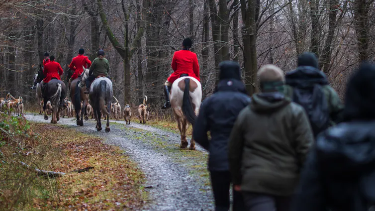 Saboteurs dressed in black follow a fox hunt with riders in red jackets.