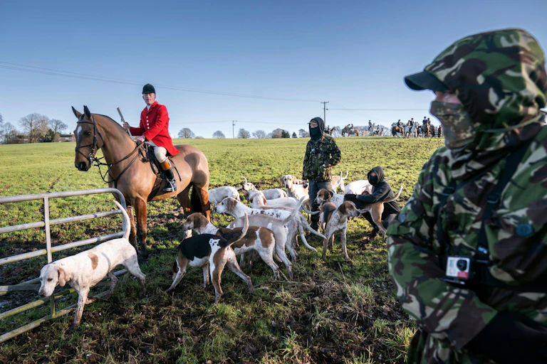 A hunt member on horseback with hounds encounters hunt saboteurs in camouflage outfits.