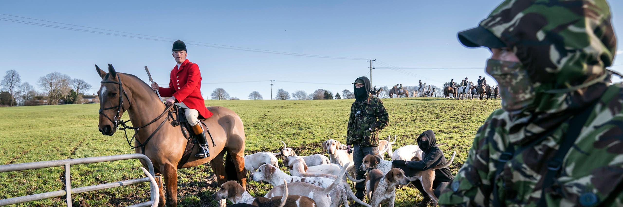 A hunt member on horseback with hounds encounters hunt saboteurs in camouflage outfits.
