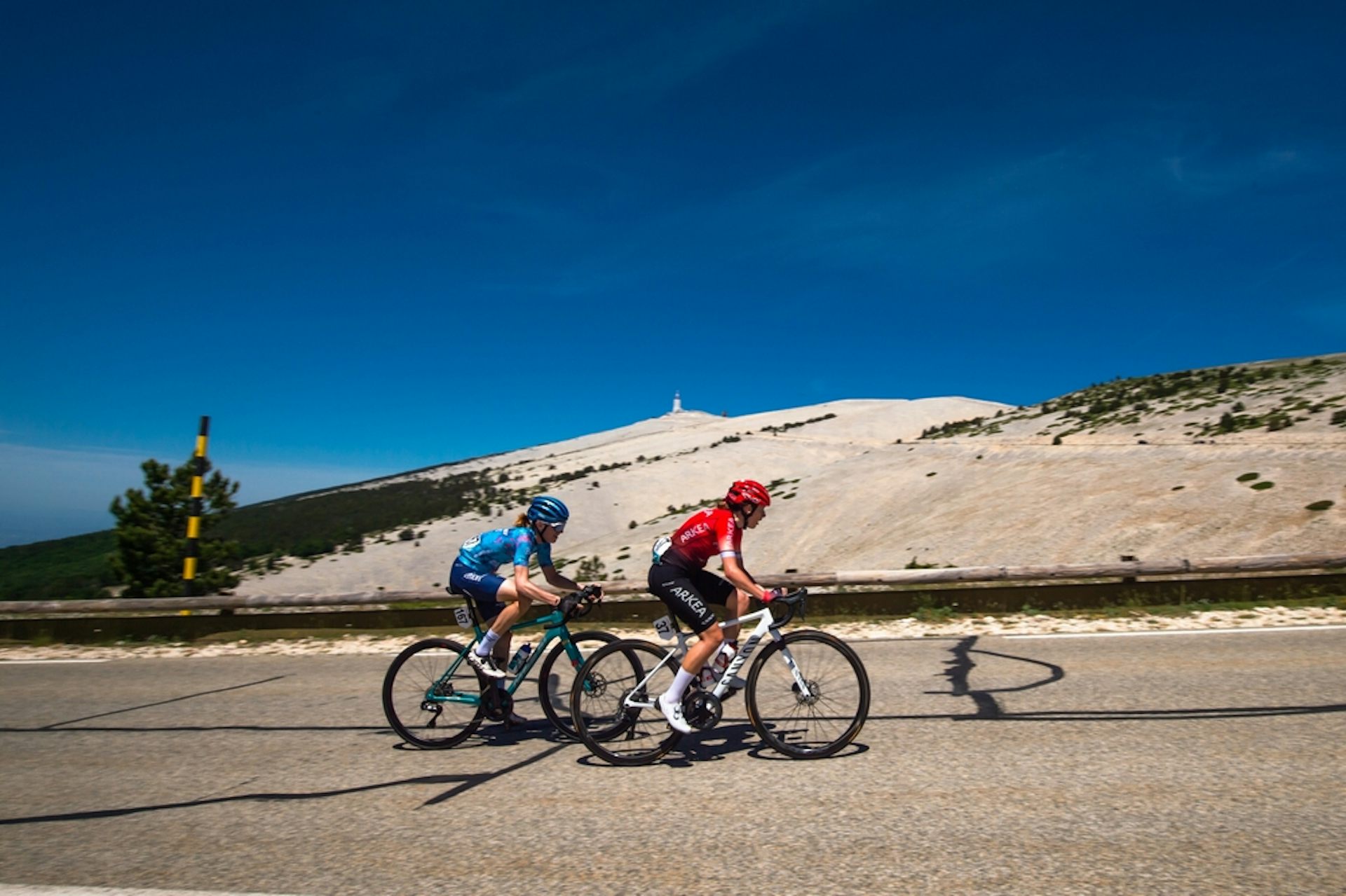 High-level endurance exercise is linked to scar tissue in the heart