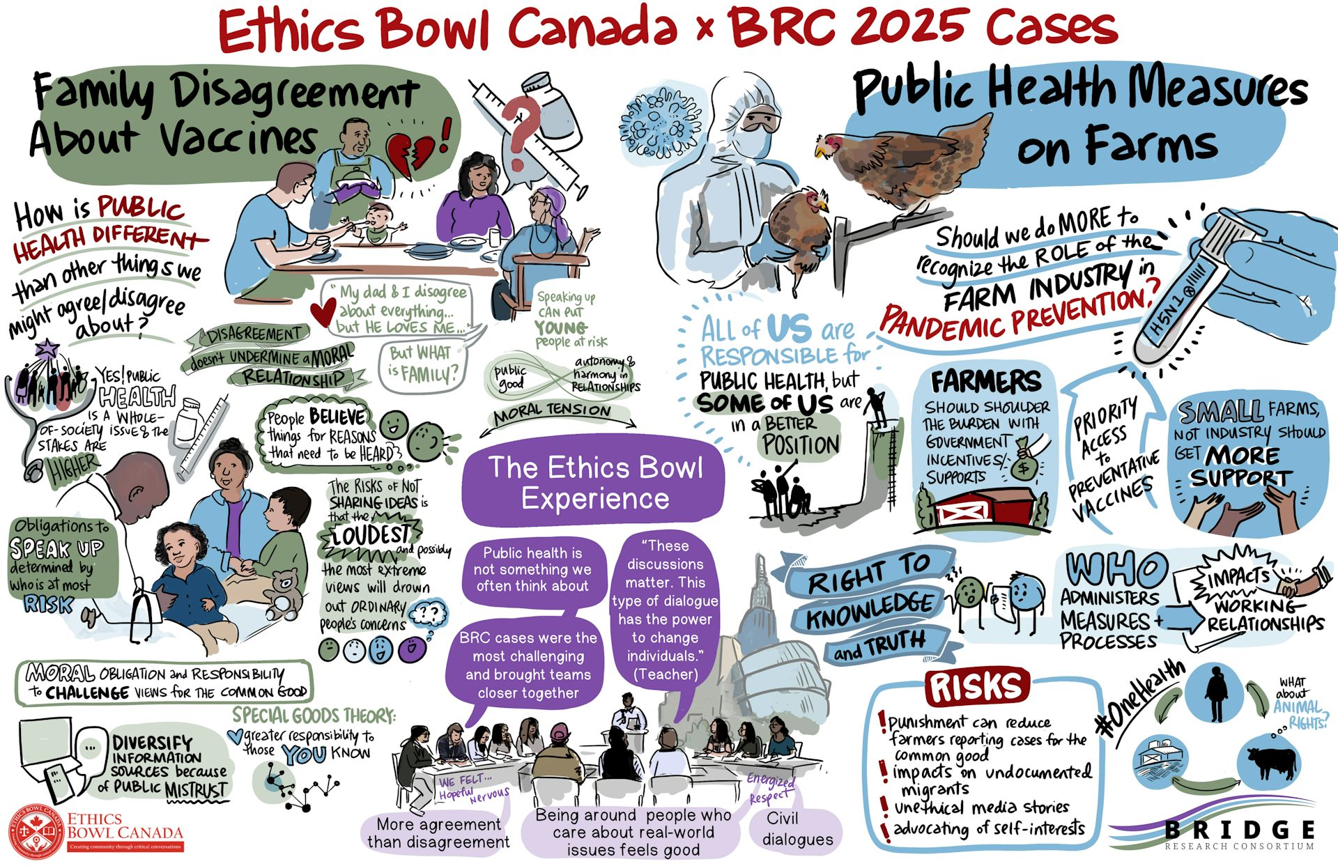 La ilustración muestra muchos dibujos como vacas, personas en una mesa hablando y flechas circulares que representan un ciclo.