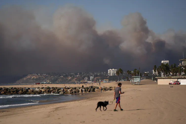 A man walks on a beach with a dog as smoke rise from a fire in the background.