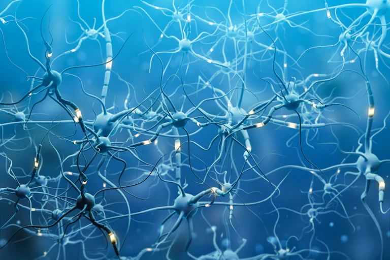 Une illustration d’un réseau neuronal