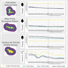 Gráficos mostram como as florestas com araucárias tiveram pouca perda de vegetação, enquanto os Campos de Altitude sofreram os maiores impactos