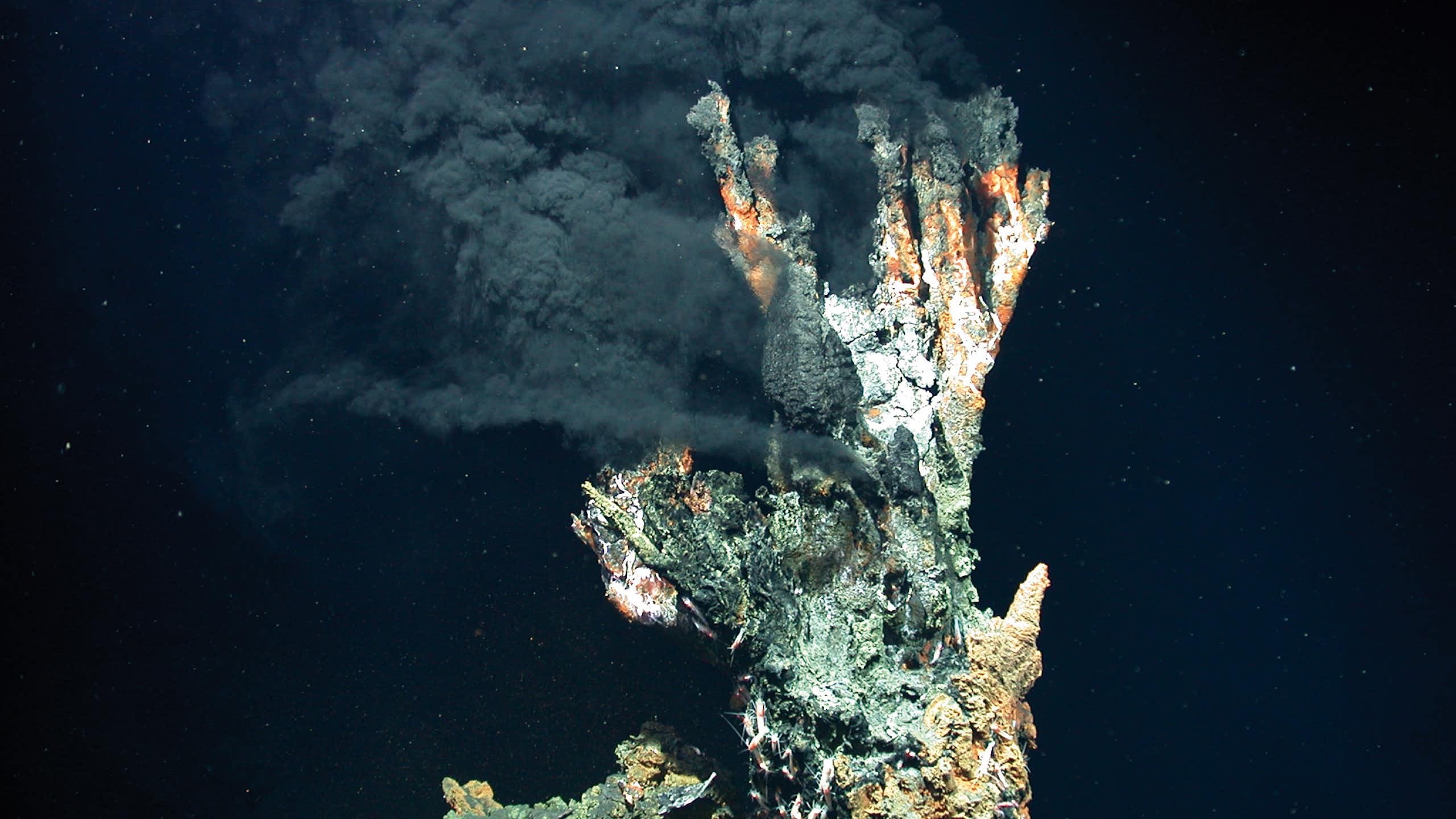 black smoke emitted from a rock formation underwater