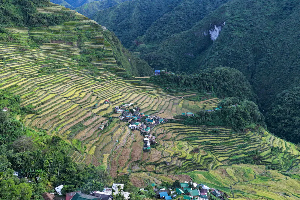Indigenous Background Rice Terraces How mountain terraces have helped Indigenous peoples…
