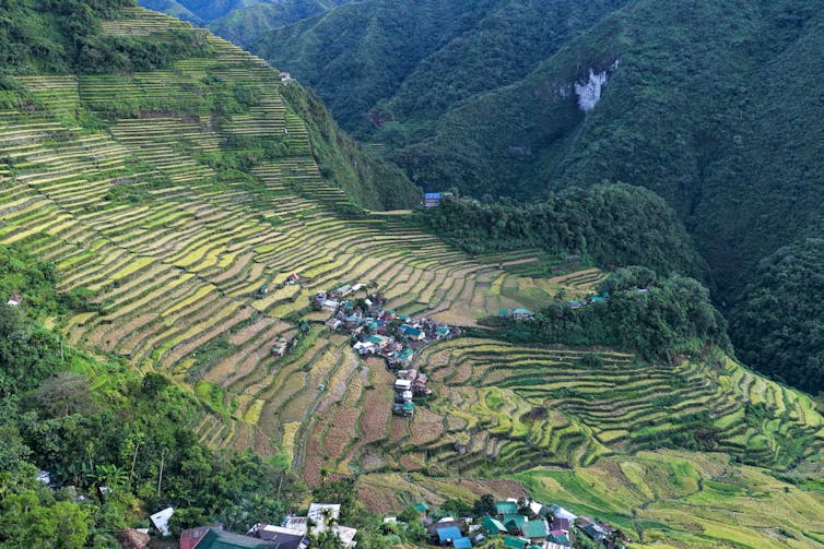 A large hillside is covered in small parcels of flat land.