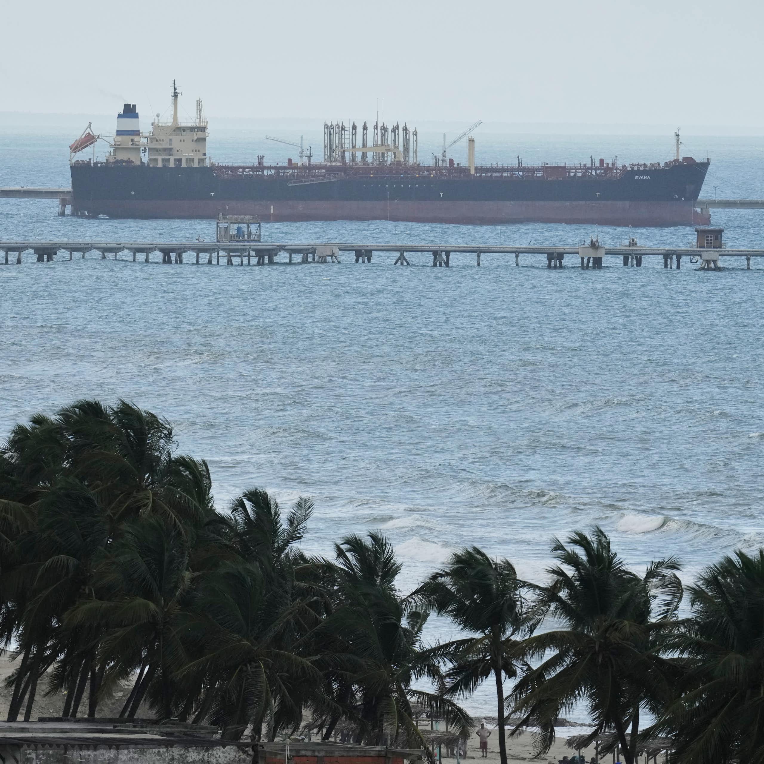 Palm trees in the foreground as an oil tanker sits docked at a por